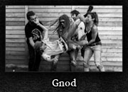 Gnod