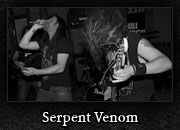 Serpent Venom